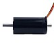 28V 80mNm 140.73W 6.31A Round Ф32x61mm Brushless Coreless Motor - 32CL60-28-P2-16800 | StepperOnline UK