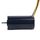 48V 80mNm 121.47W 3.16A Round Ф32x61mm Brushless Coreless Motor - 32CL60-48-P2-14500 | StepperOnline UK