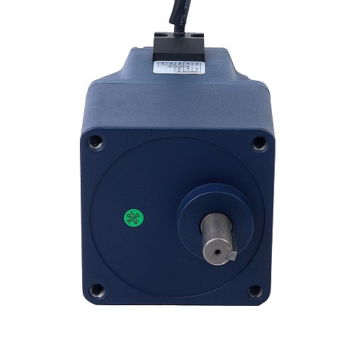 24V 200W 30RPM Geared Brushless DC Motor 40.00Nm(5664.48oz.in) 100:1 Spur Gearbox - F6B200-24GU-30S/6GU100K | StepperOnline UK