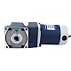Brushed 24V 60W 6.74Nm(954.46oz.in) 60RPM w/ 30:1 Right Angle Gearbox DC Gear Motor - F4D60-24GN-18S/4GN30RC | StepperOnline UK