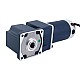 Brushed 48V 150W 20.00Nm(2832.24oz.in) 30RPM w/ 100:1 Right Angle Gearbox DC Gear Motor - F5D150-48GU-30S/5GU100RC | StepperOnline UK